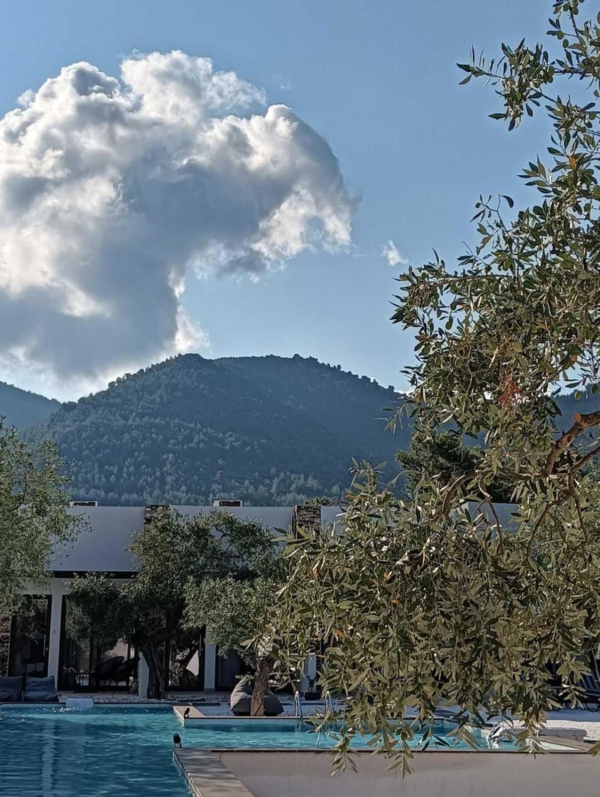 فندق The Olive Hills Skala Rachoni  المظهر الخارجي الصورة