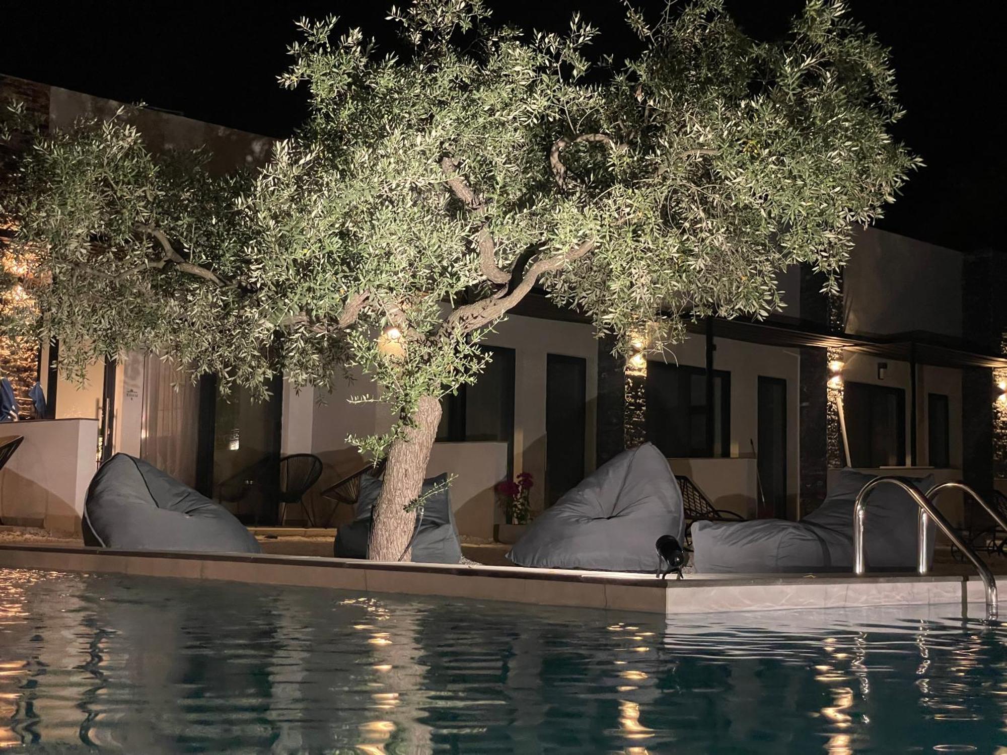 فندق The Olive Hills Skala Rachoni  المظهر الخارجي الصورة